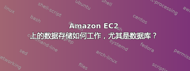 Amazon EC2 上的数据存储如何工作，尤其是数据库？