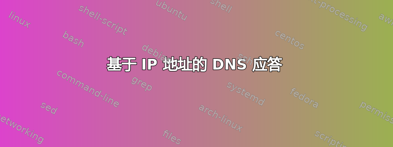 基于 IP 地址的 DNS 应答