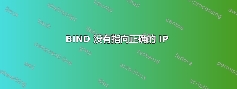 BIND 没有指向正确的 IP