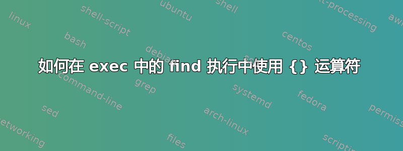 如何在 exec 中的 find 执行中使用 {} 运算符