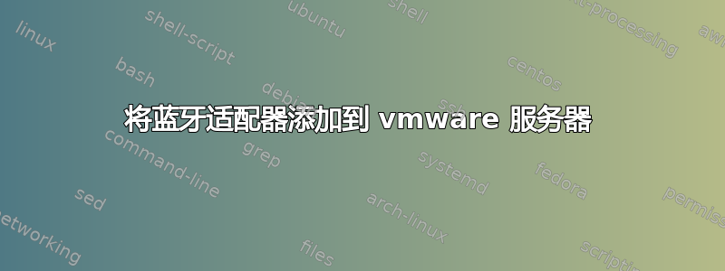 将蓝牙适配器添加到 vmware 服务器