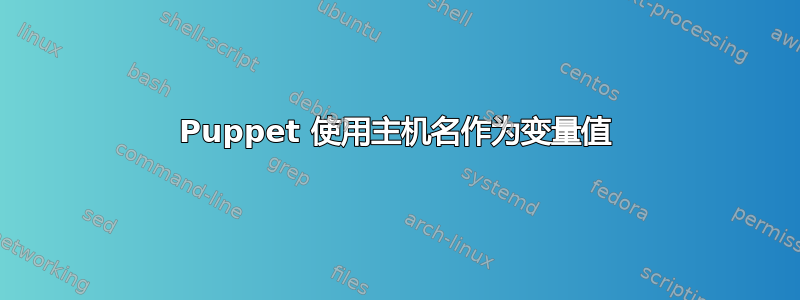 Puppet 使用主机名作为变量值