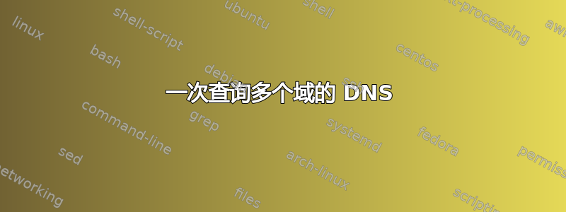 一次查询多个域的 DNS