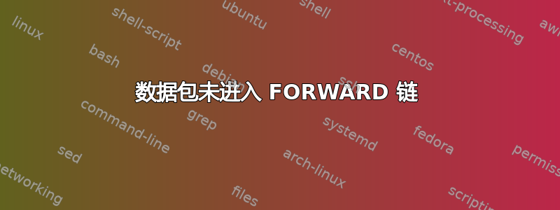 数据包未进入 FORWARD 链