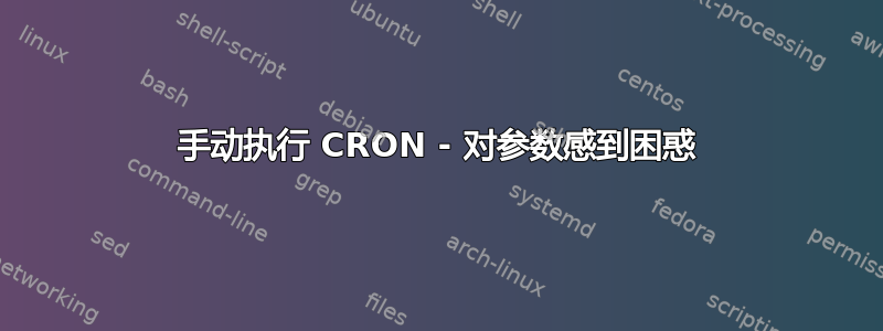 手动执行 CRON - 对参数感到困惑