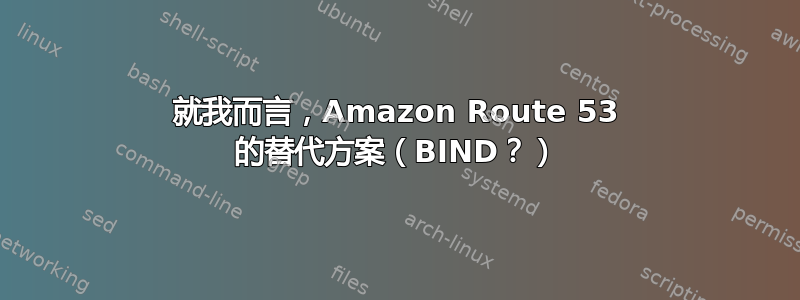 就我而言，Amazon Route 53 的替代方案（BIND？）