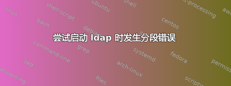 尝试启动 ldap 时发生分段错误