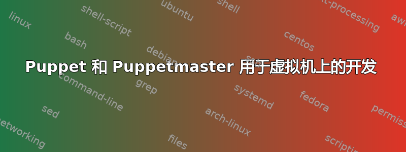 Puppet 和 Puppetmaster 用于虚拟机上的开发