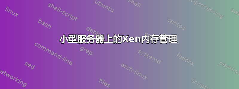 小型服务器上的Xen内存管理