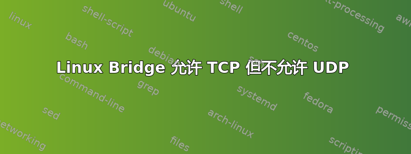 Linux Bridge 允许 TCP 但不允许 UDP