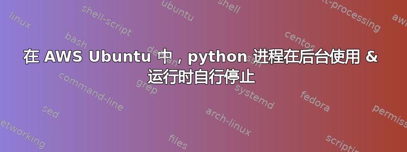 在 AWS Ubuntu 中，python 进程在后台使用 & 运行时自行停止