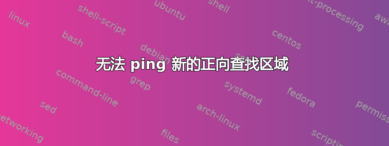 无法 ping 新的正向查找区域