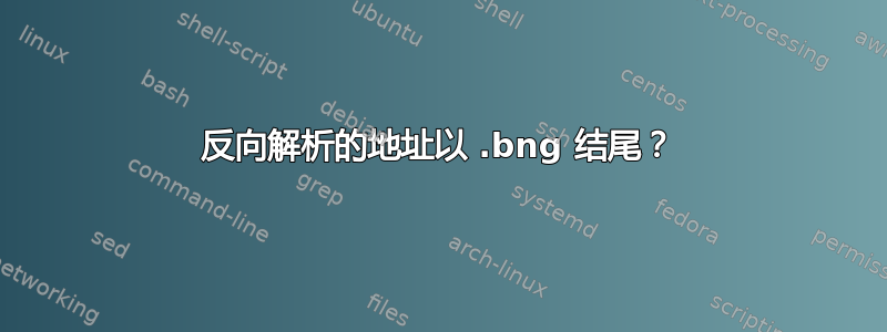 反向解析的地址以 .bng 结尾？