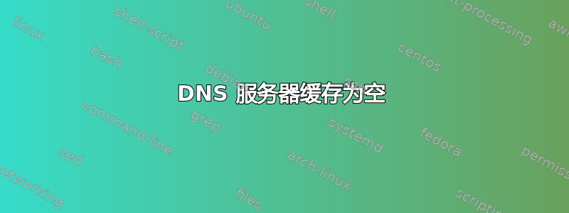 DNS 服务器缓存为空