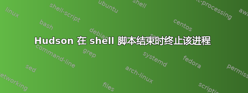 Hudson 在 shell 脚本结束时终止该进程