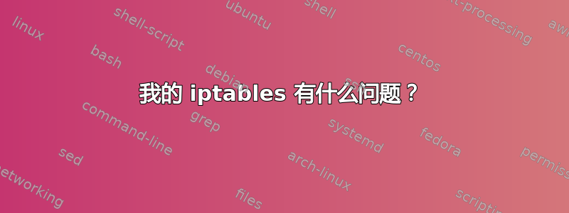 我的 iptables 有什么问题？