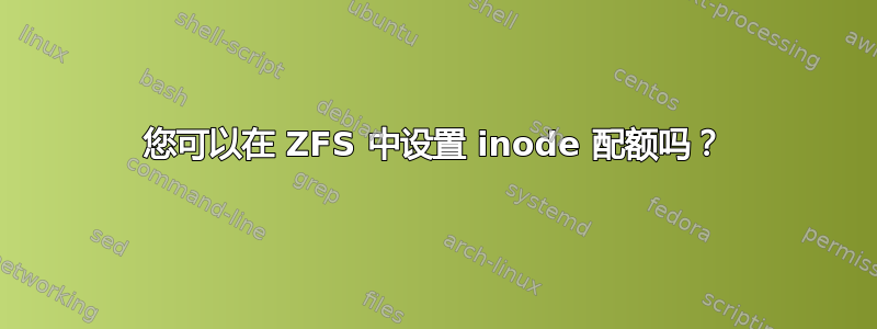 您可以在 ZFS 中设置 inode 配额吗？