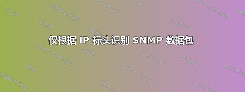 仅根据 IP 标头识别 SNMP 数据包