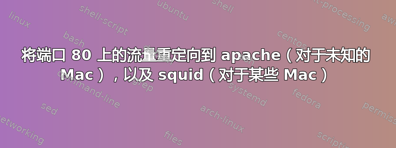 将端口 80 上的流量重定向到 apache（对于未知的 Mac），以及 squid（对于某些 Mac）