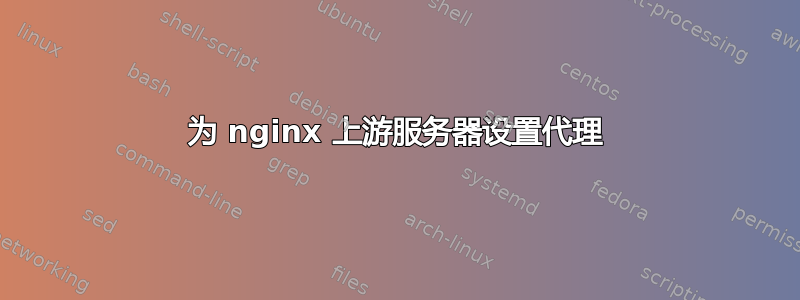 为 nginx 上游服务器设置代理