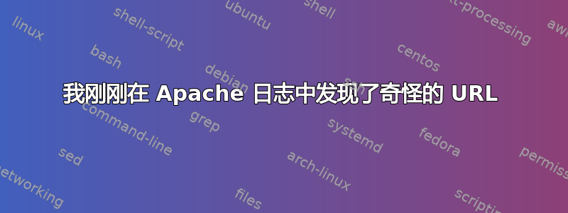 我刚刚在 Apache 日志中发现了奇怪的 URL