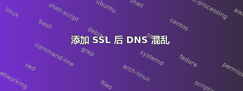 添加 SSL 后 DNS 混乱