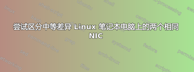 尝试区分中等差异 Linux 笔记本电脑上的两个相同 NIC