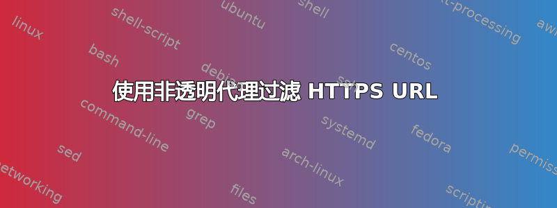 使用非透明代理过滤 HTTPS URL