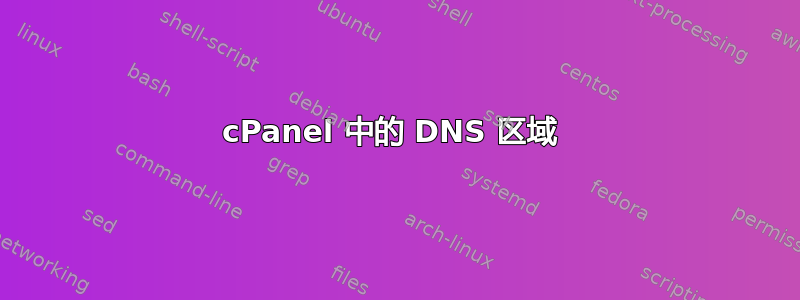 cPanel 中的 DNS 区域 