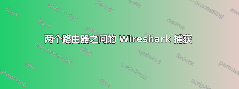 两个路由器之间的 Wireshark 捕获