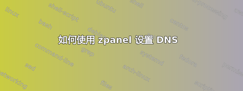 如何使用 zpanel 设置 DNS 