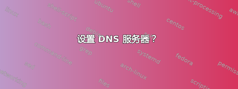 设置 DNS 服务器？