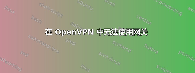 在 OpenVPN 中无法使用网关