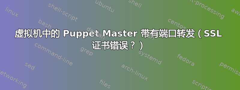 虚拟机中的 Puppet Master 带有端口转发（SSL 证书错误？）