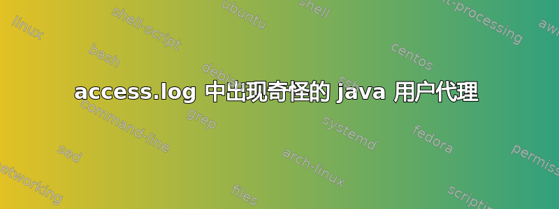 access.log 中出现奇怪的 java 用户代理