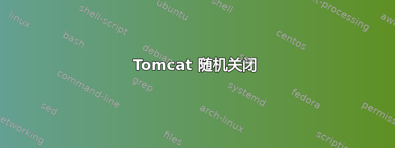 Tomcat 随机关闭