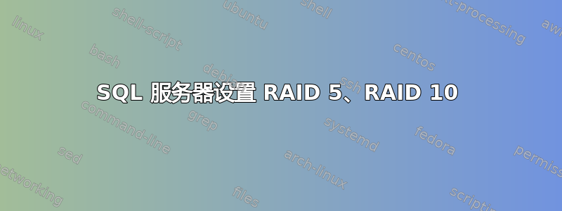 SQL 服务器设置 RAID 5、RAID 10