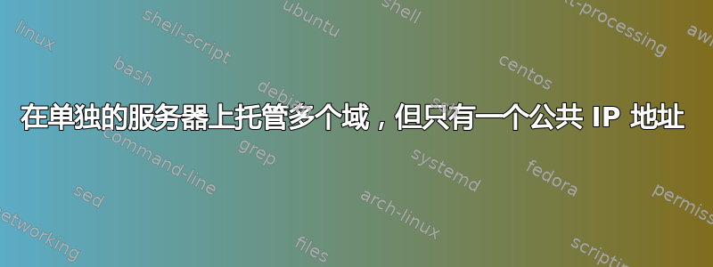 在单独的服务器上托管多个域，但只有一个公共 IP 地址