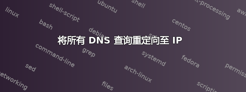 将所有 DNS 查询重定向至 IP 