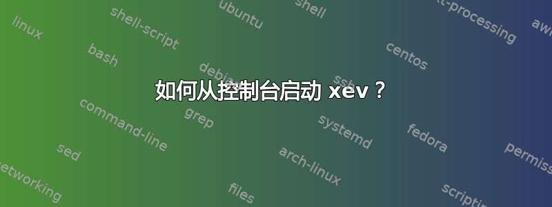 如何从控制台启动 xev？