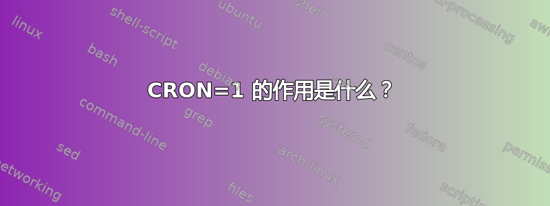 CRON=1 的作用是什么？