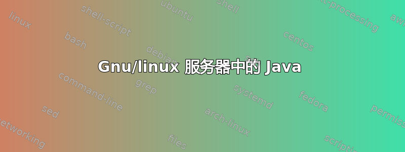 Gnu/linux 服务器中的 Java