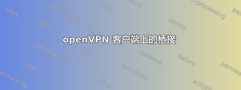 openVPN 客户端上的桥接