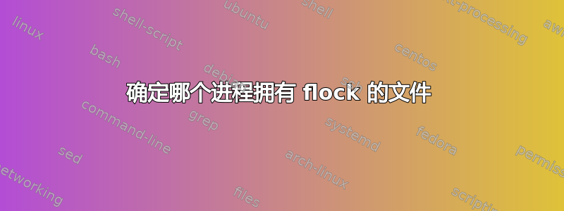 确定哪个进程拥有 flock 的文件