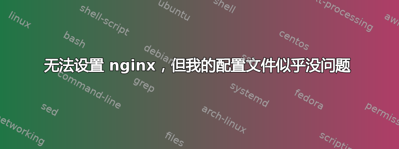 无法设置 nginx，但我的配置文件似乎没问题