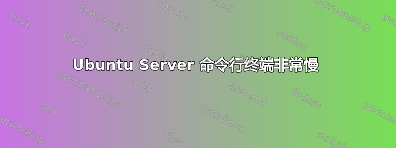 Ubuntu Server 命令行终端非常慢