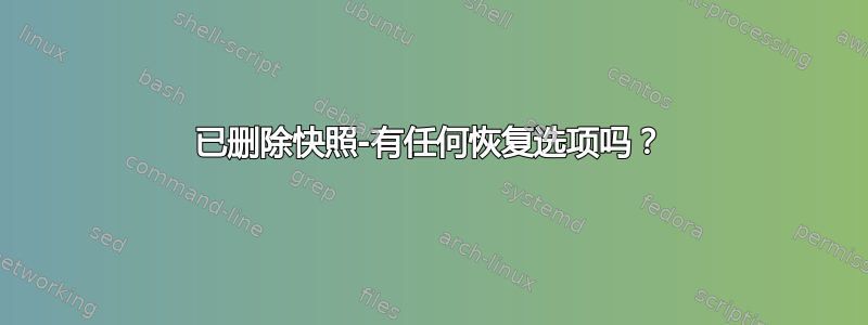 已删除快照-有任何恢复选项吗？