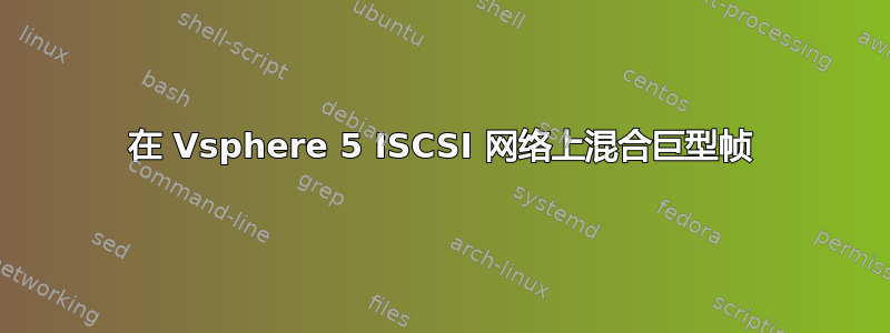 在 Vsphere 5 ISCSI 网络上混合巨型帧