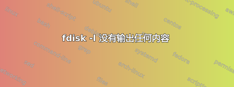 fdisk -l 没有输出任何内容