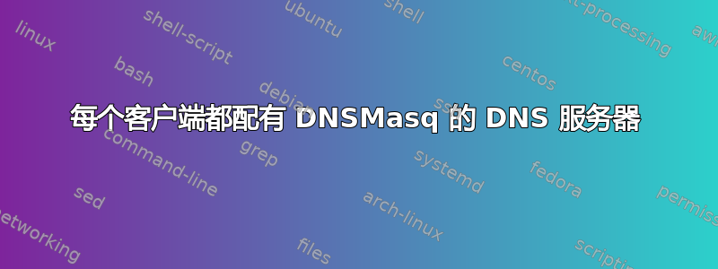 每个客户端都配有 DNSMasq 的 DNS 服务器